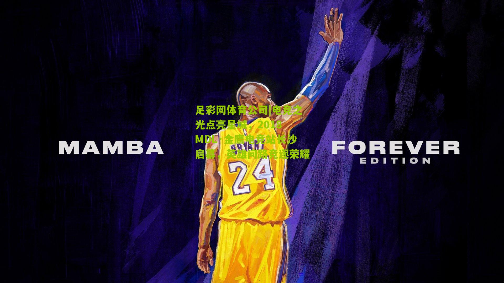 电竞之光点亮星城，2018 MDL·金鹰电竞站长沙启幕，英雄问路竞逐荣耀